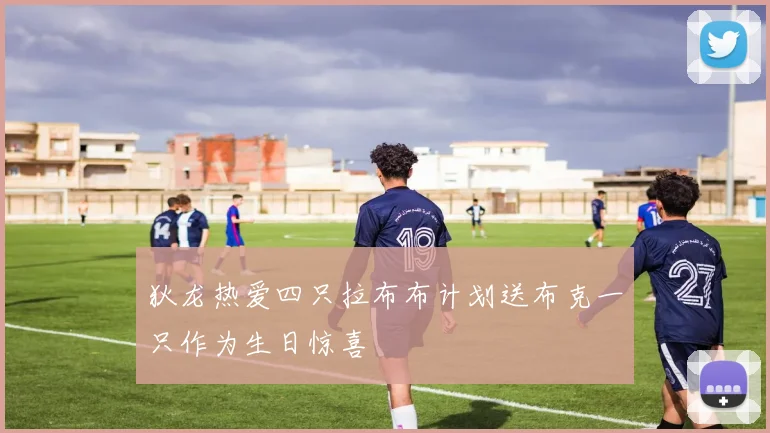 狄龙热爱四只拉布布计划送布克一只作为生日惊喜