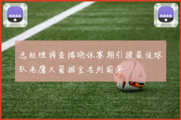 总经理调查揭晓休赛期引援最佳球队老鹰火箭掘金名列前茅
