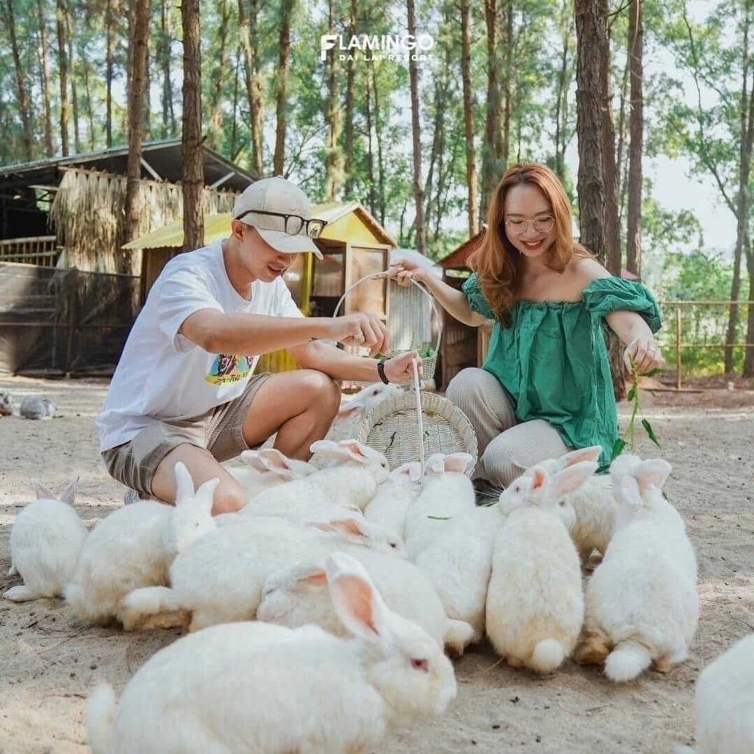 508653675 1410815626714496 8818838753477772534 n